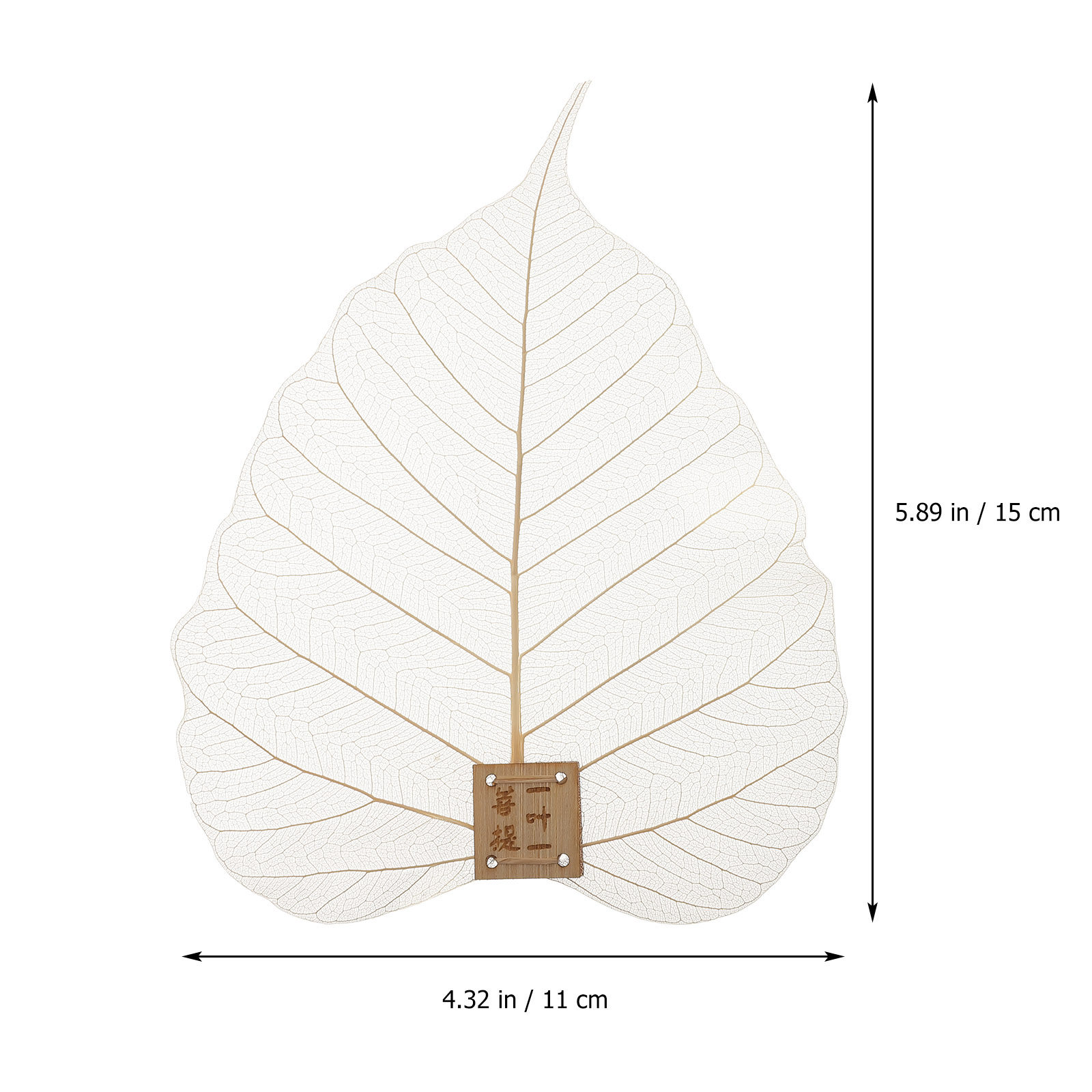 Strainer Filter Leaf Shape Fin - Home Bar Supplies recension och pris